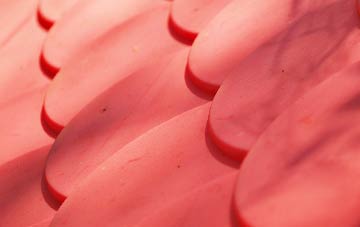 Shandwick plastic roof costs