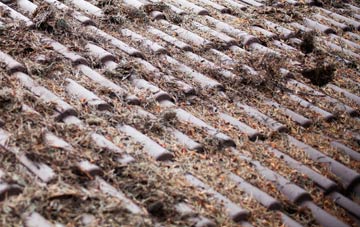 Shandwick roof cleaning companies