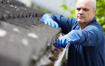 cleaning and inspecting Shandwick roofs
